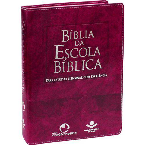 Bíblia Sagrada Estudo da Escola Bíblica Violeta Feminina
