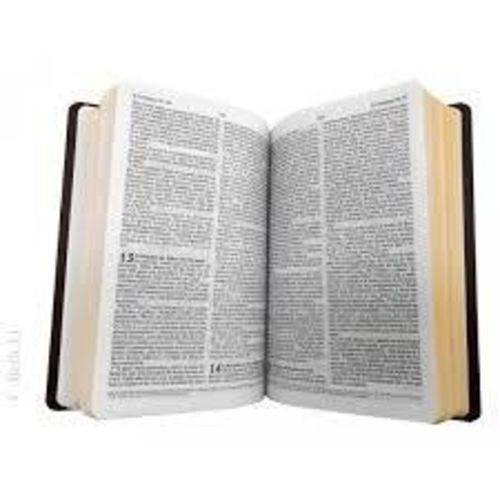 Bíblia Sagrada Marrom Capa Dura