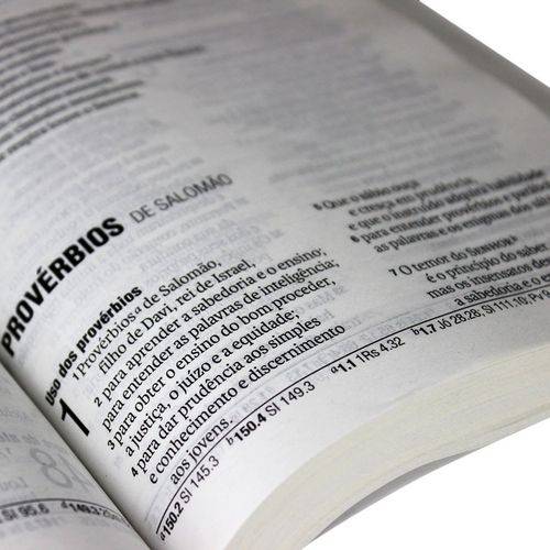 Bíblia Sagrada Nova Almeida Atualizada Letra Grande - Tradicional