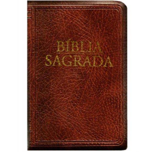 Bíblia Sagrada - Nova Tradução na Linguagem de Hoje (Média - Zíper Marrom)
