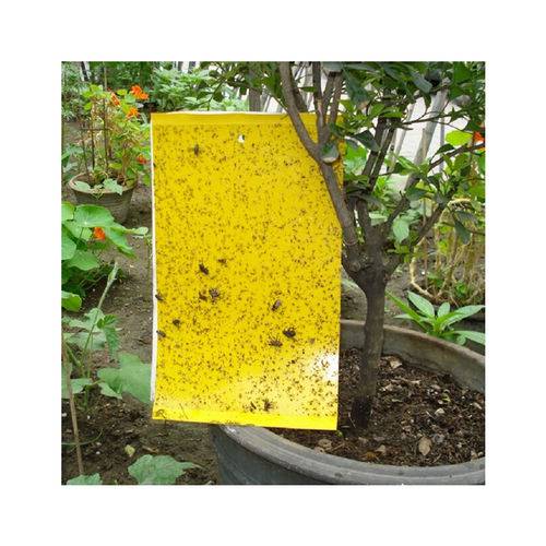 Bio Trap - Placa Adesiva Amarela para Insetos Voadores (10 Un)