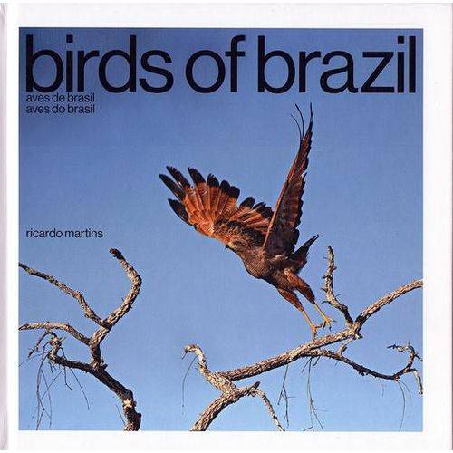 Birds Of Brazil - Aves de Brasil - Aves do Brasil