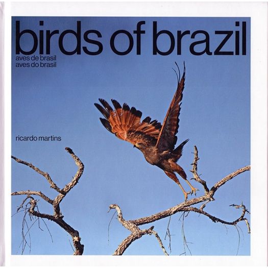 Birds Of Brazil - Aves do Brasil - Brasileira