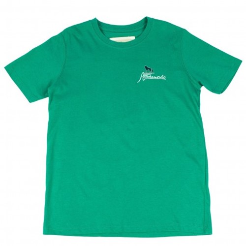 Bizz Store - Camiseta Infantil Masculina Acostamento Verde