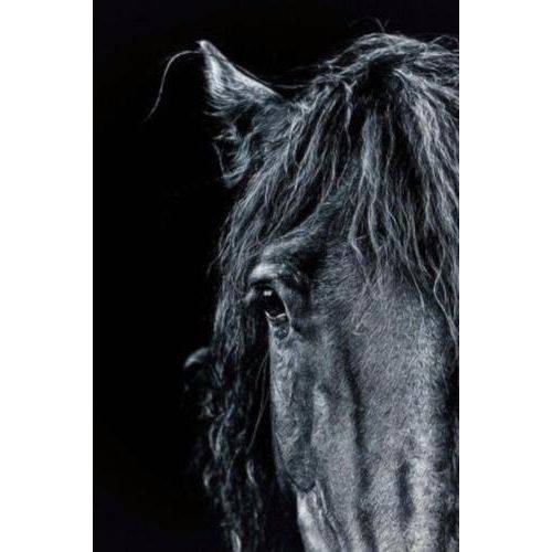 Black Horse In Darkness Journal