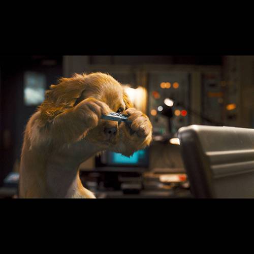 Blu-ray 3D Como Cães & Gatos 2: a Vingança