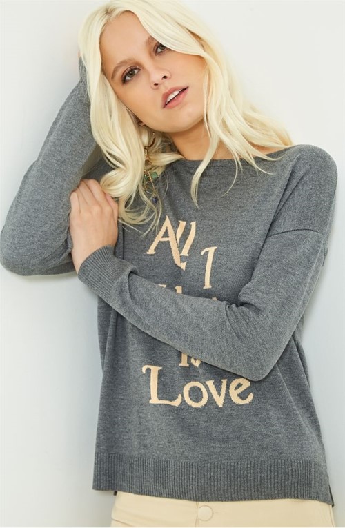 Blusa All I Want Is Love