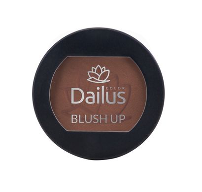 Blush Up Nº16 Terra 4,5g - Dailus Color