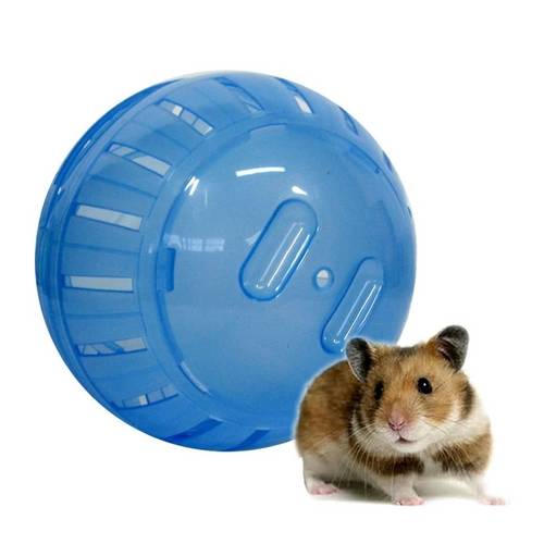 Bola de Exercícios Globo para Hamster Ginástica Bicho Estimação - Cor Sortida Ws8 Pet-176