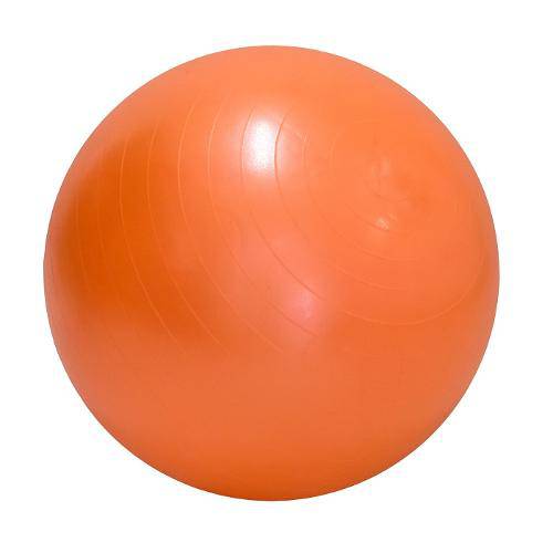 Bola de Ginástica e Pilates Gynastic Ball 65 Cm - Wellness