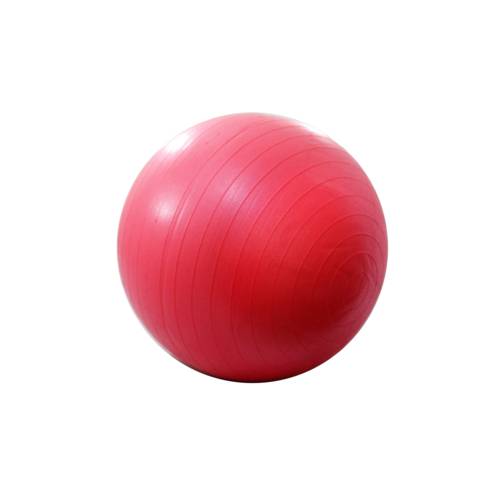 Bola Suíça para Fitness, Yoga e Pilates 55 Cm - Acompanha Bomba