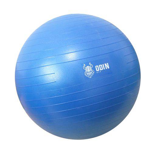Bola Yoga Suiça Pilates Abdominal Gym Ball 55cm com Bomba