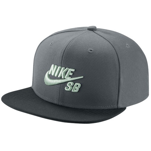 Boné Nike Sb Icon Pro
