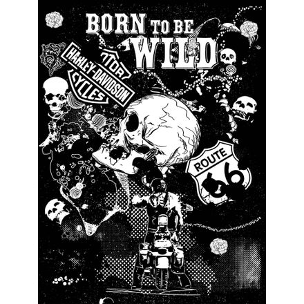 Born To Be Wild 4 - 36 X 47,5 Cm - Papel Fotográfico Fosco