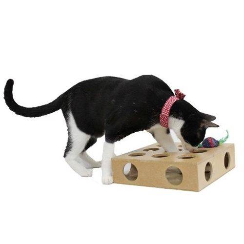 Brinquedo Gatos Cat Interativo Felino Bolinha Toy Box