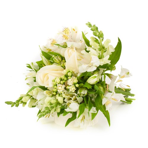 Buquê Paz com Flores Brancas P