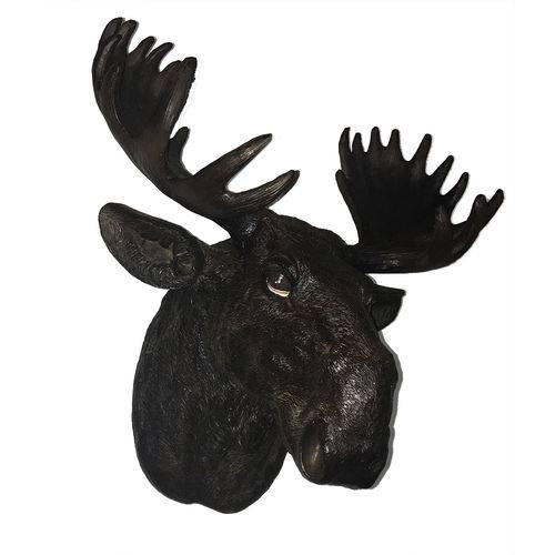 Cabeça Troféu de Moose Alce Veado Parede Taxidermia 50x47