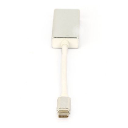Cabo Adaptador USB-C para Displayport Prata