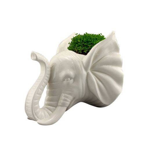 Cachepô de Parede Head Elephant Animals em Cerâmica - 13x14,5 Cm - Cor Branco - 41023