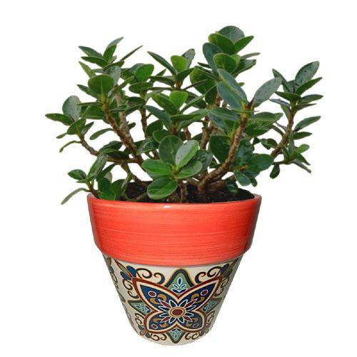 Cachepot, Vaso Decorativo de Cerâmica Floral Vintage Cone Vermelho Urban - H40417
