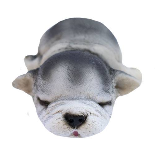 Cachorro Bulldog Filhote Deitado 16cm - Resina Animais