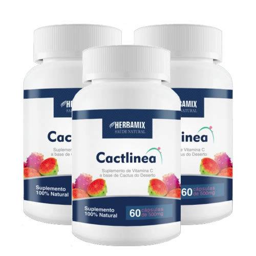 Cactlinea - Kit com 3 Unidades - Herbamix