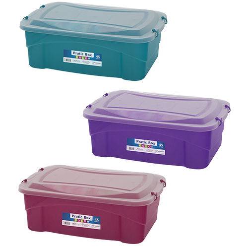 Caixa Organizadora Container Colors 45l 24x67cm