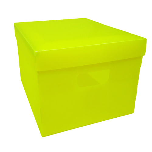 Caixa Organizadora Plástica Grande Amarela - Plascony 1022207