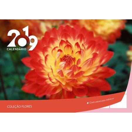 Calendário de Parede Luz e Vida 2019 Coleção Flores