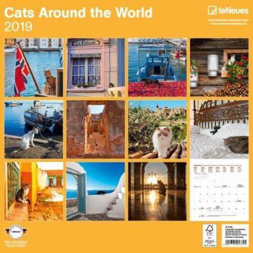 Calendário de Parede te Neues 30X30cm - Cats Around The World - 2019
