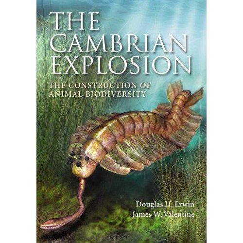 Cambrian Explosion, The: Construction Of Animal