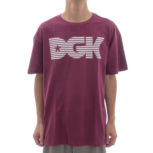 Camiseta DGK Levels (P)