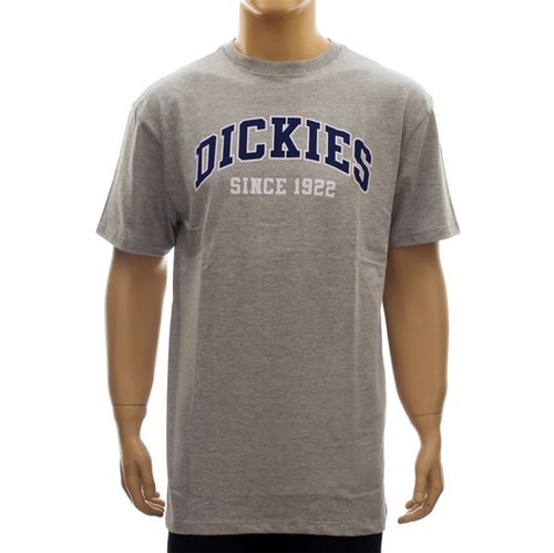 Camiseta Dickies Basic Mescla (P)