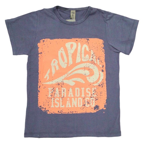 Camiseta Infantil Menino Tropic Paradise 6