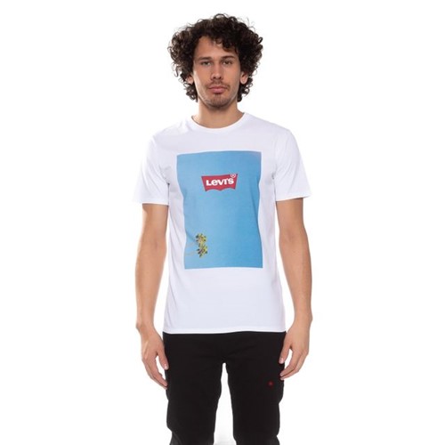 Camiseta Levis Graphic Beach - L