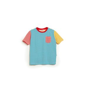 Camiseta Listras Cores Colorido - 10