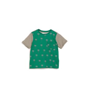 Camiseta Listras Palmito Est Palmito Verde Listras - 4