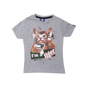 Camiseta Manga Curta Infantil para Menino - Cinza Claro 1