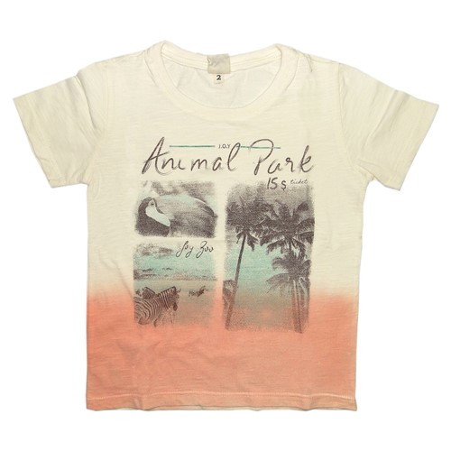 Camiseta Menino Tie-Dye Animal Park - Joy By Morena Rosa 2 Anos