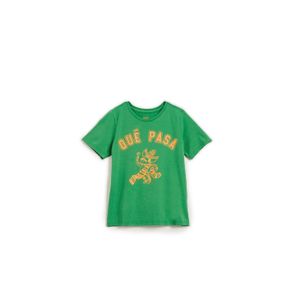 Camiseta Silk que Pasa Verde Mata - 2