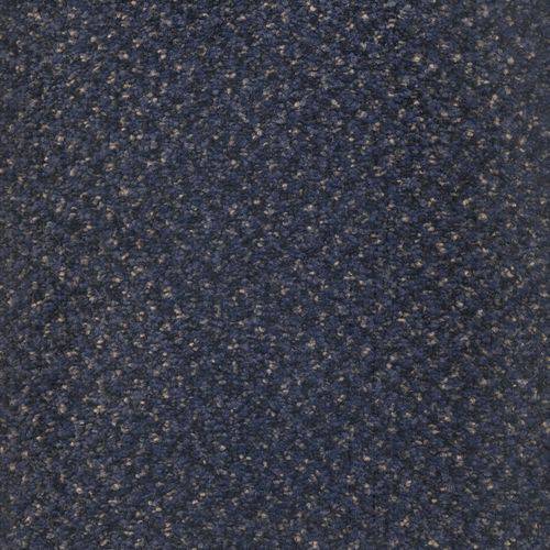 Carpete em Manta Baltimore Beaulieu 9mmx3,66m M² - Caixa com 3,66m2 - Bb2