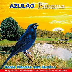 CD Azulão Panema