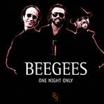 CD Bee Gees - One Night Only
