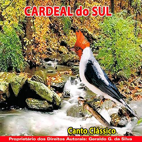 CD Cardeal do Sul