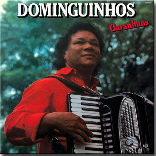 Cd Dominguinhos - Garanhuns