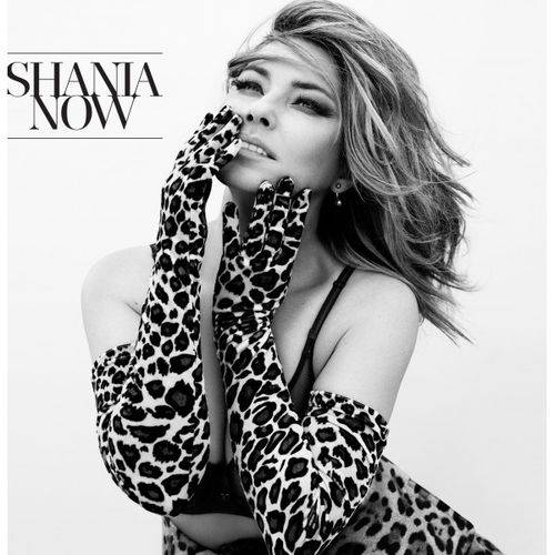 Cd Shania Twain - Now