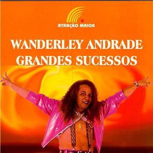 Cd Wanderley Andrade - Grandes Sucessos - Pack