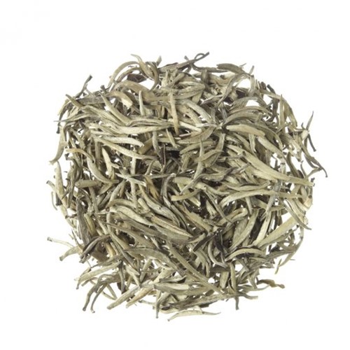Chá Branco Silver Needles - Linha Premium - Tea Shop