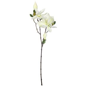 Charming Magnólia Flor Branco/verde