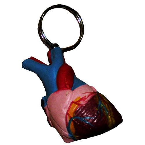 Chaveiro Coração Anatomic - Código: Tgd-0186-e